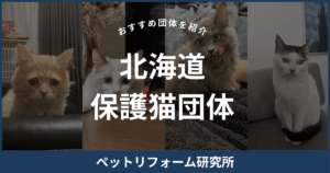北海道 保護猫団体