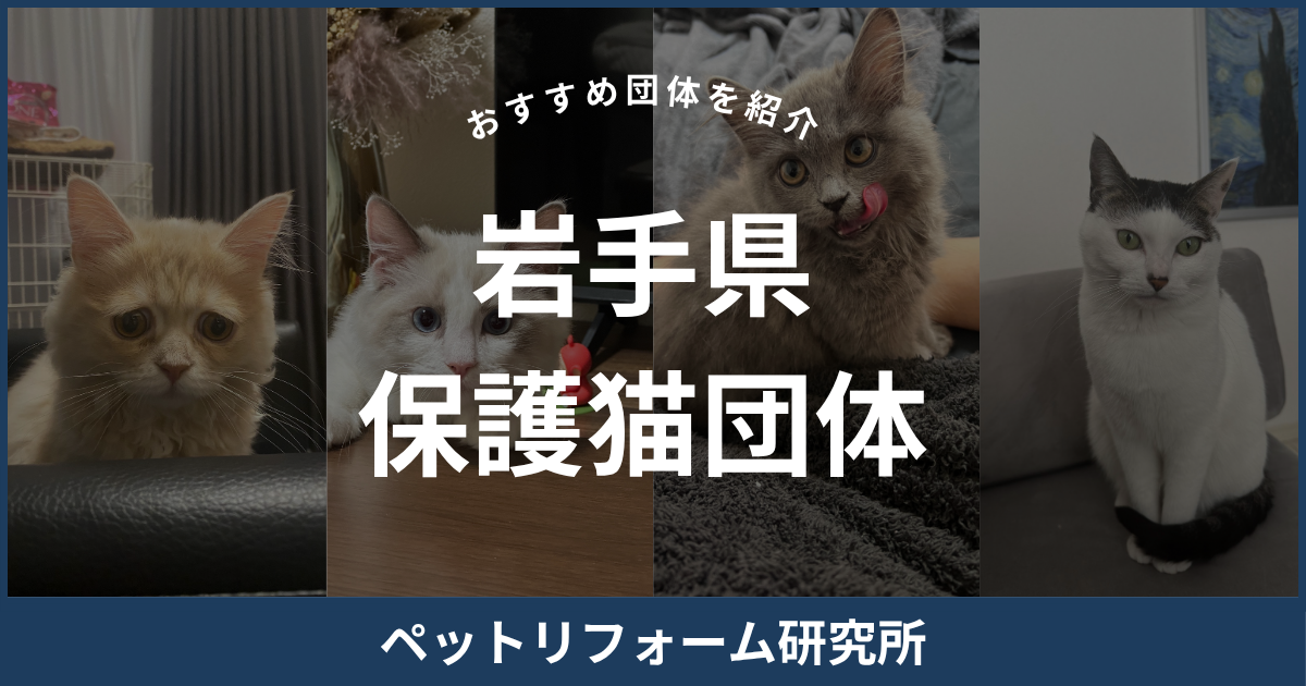 岩手県 保護猫団体