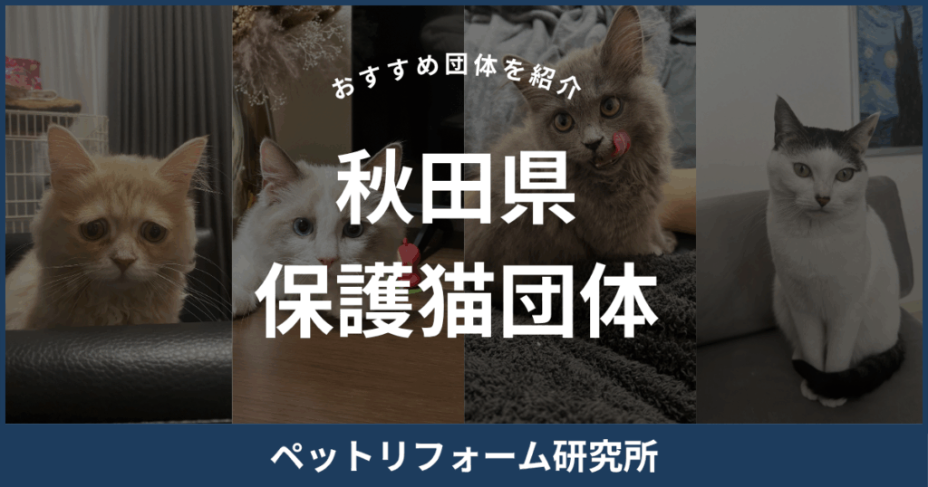 秋田県 保護猫団体