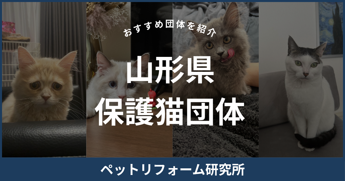 山形県 保護猫団体