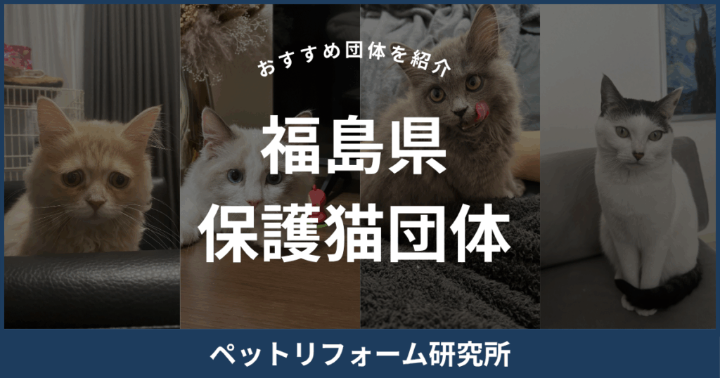福島県 保護猫団体