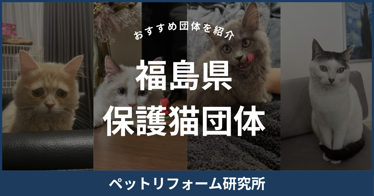 福島県 保護猫団体