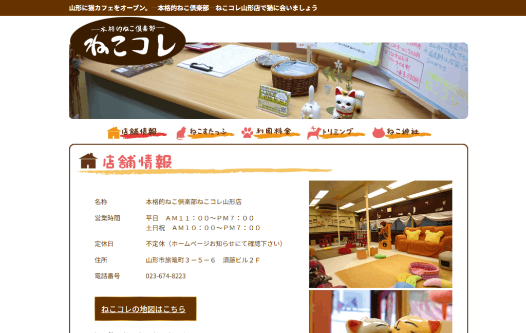 本格的ねこ倶楽部 ねこコレ山形店