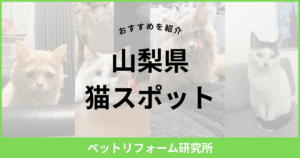 山梨県 猫スポット