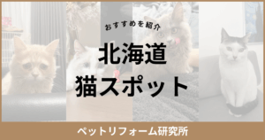 北海道 猫スポット