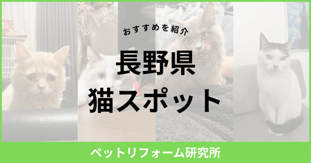 長野県 猫スポット