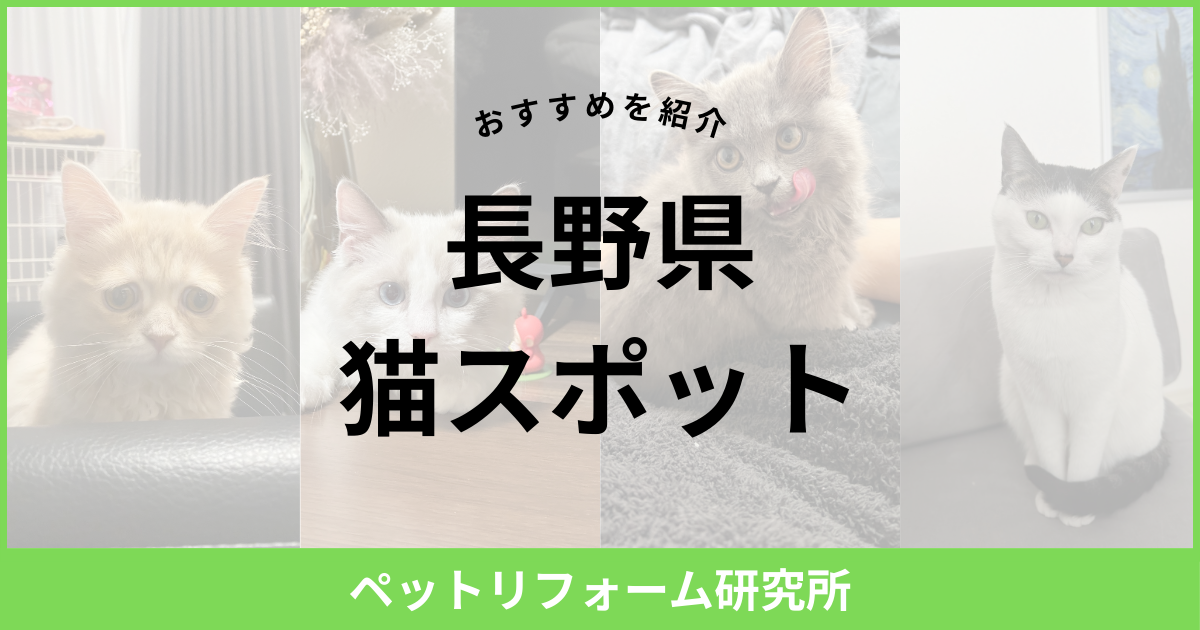 長野県 猫スポット