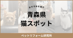 青森県 猫スポット