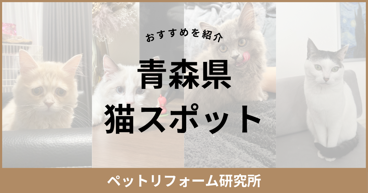青森県 猫スポット