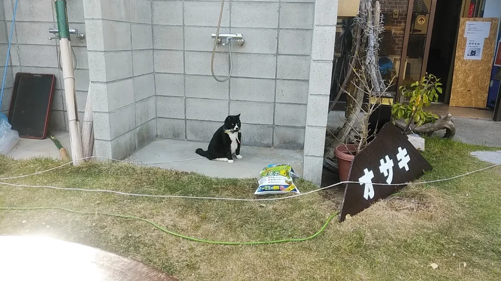 吉良温泉 民宿 オサキ