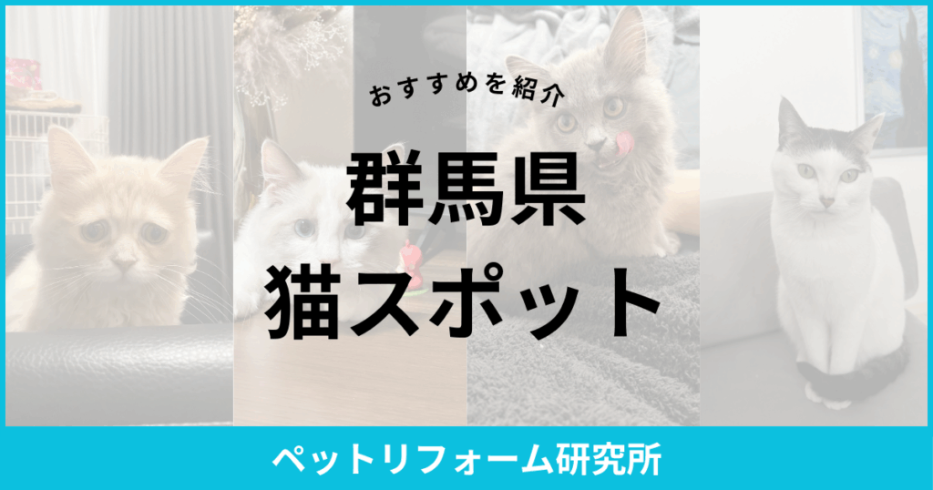 群馬県 猫スポット