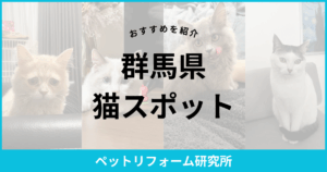 群馬県 猫スポット