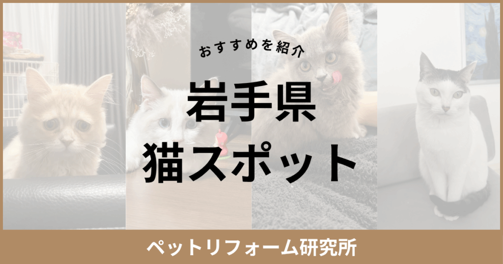 岩手県 猫スポット
