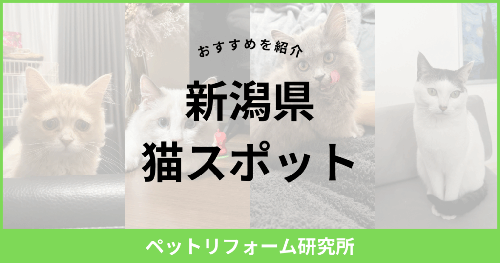 新潟県 猫スポット