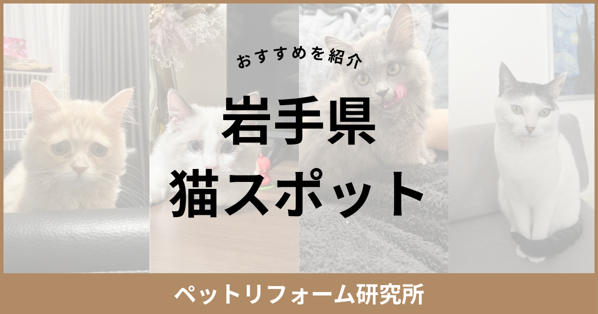岩手県 猫スポット