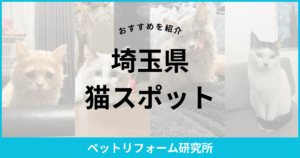 埼玉県 猫スポット