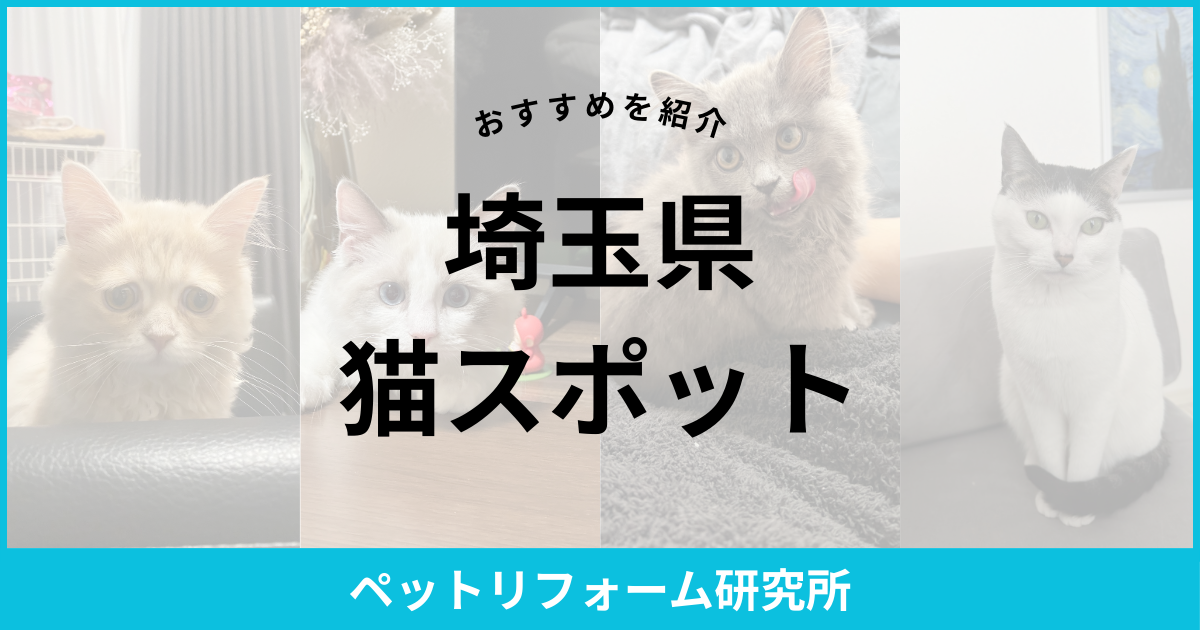 埼玉県 猫スポット