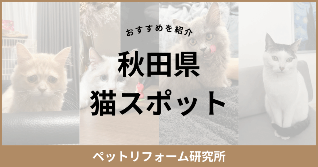 秋田県 猫スポット