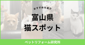 富山県 猫スポット