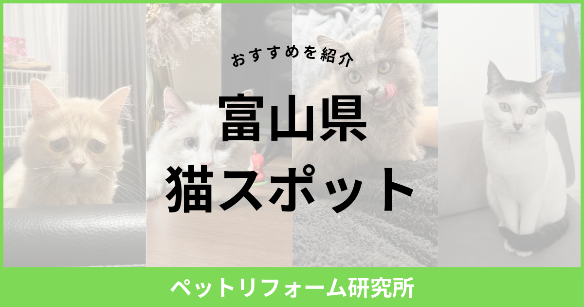 富山県 猫スポット