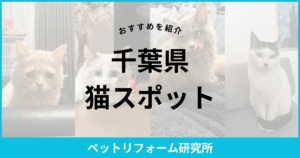 千葉県 猫スポット