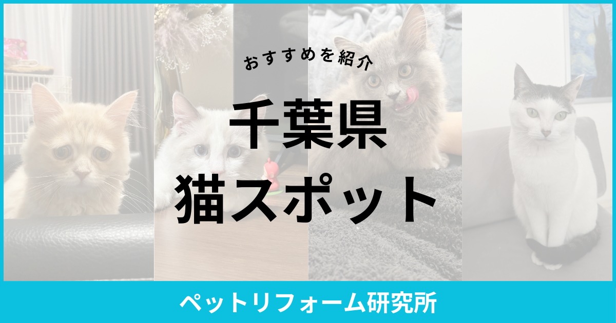 千葉県 猫スポット
