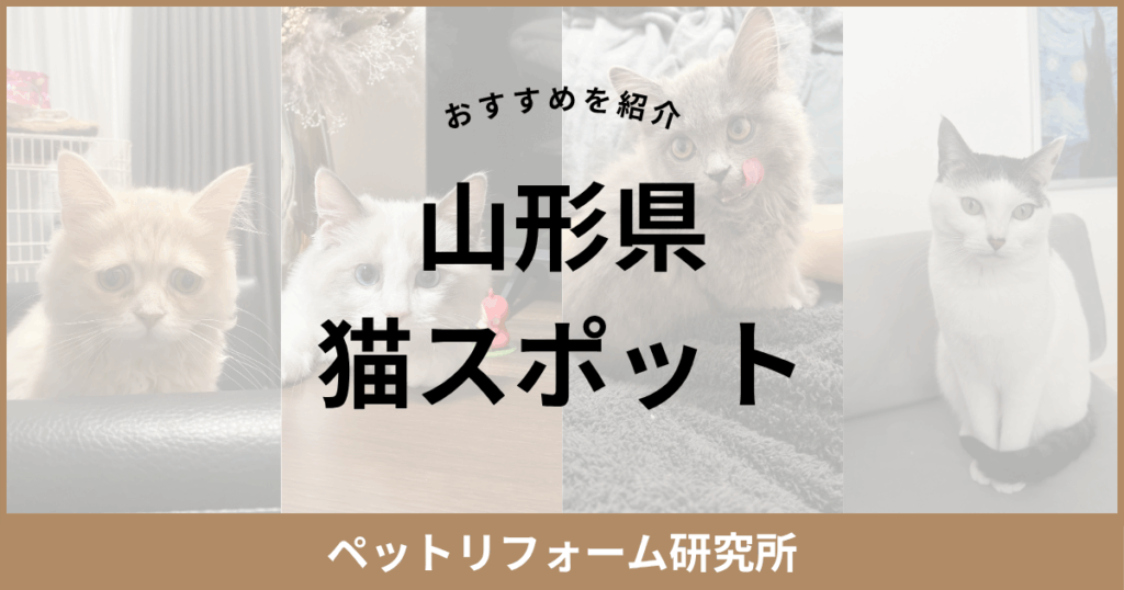 山形県 猫スポット