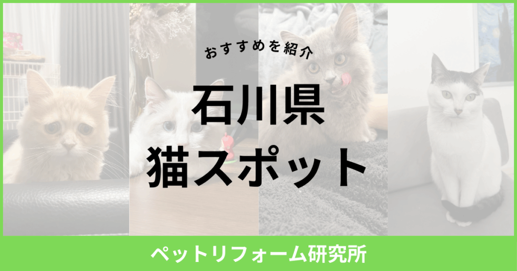 石川県 猫スポット