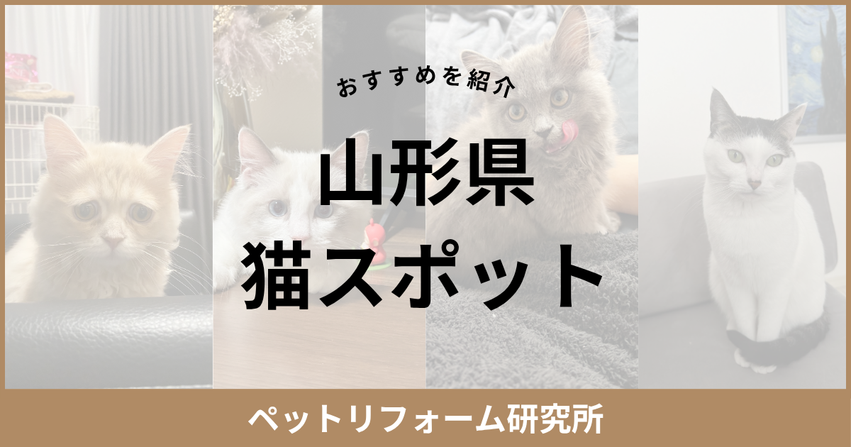 山形県 猫スポット