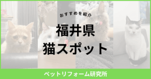 福井県 猫スポット