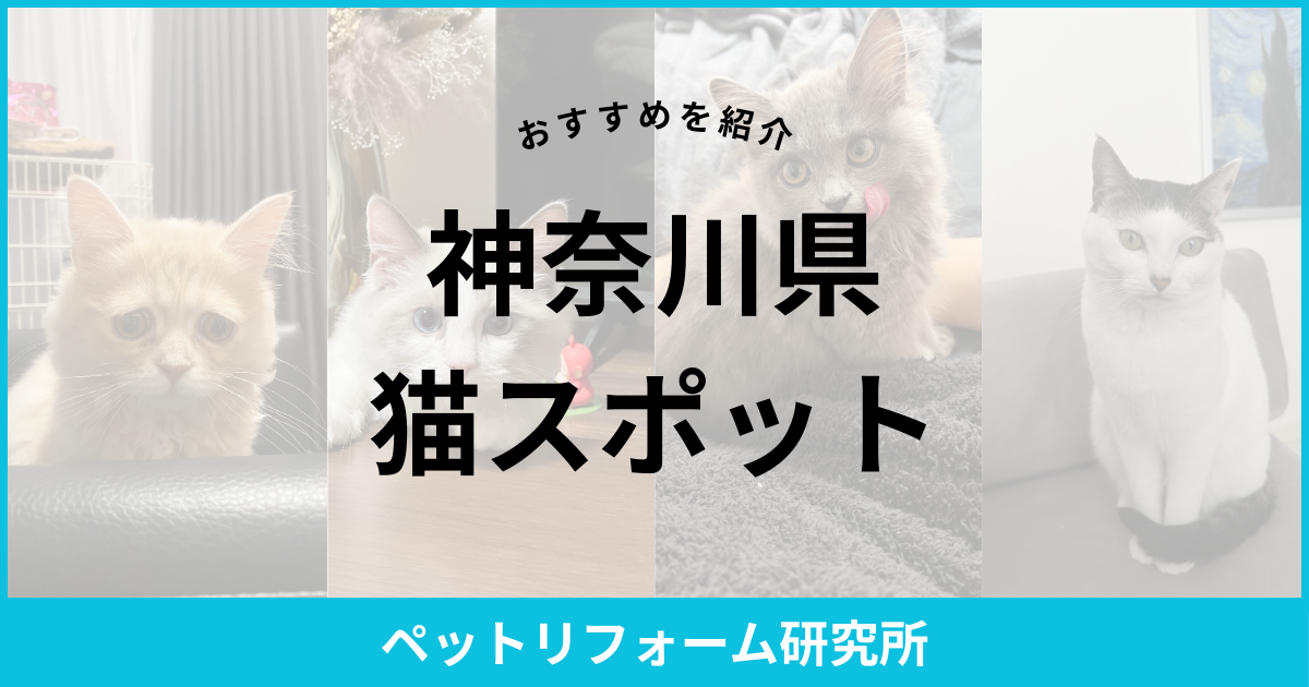 神奈川県 猫スポット