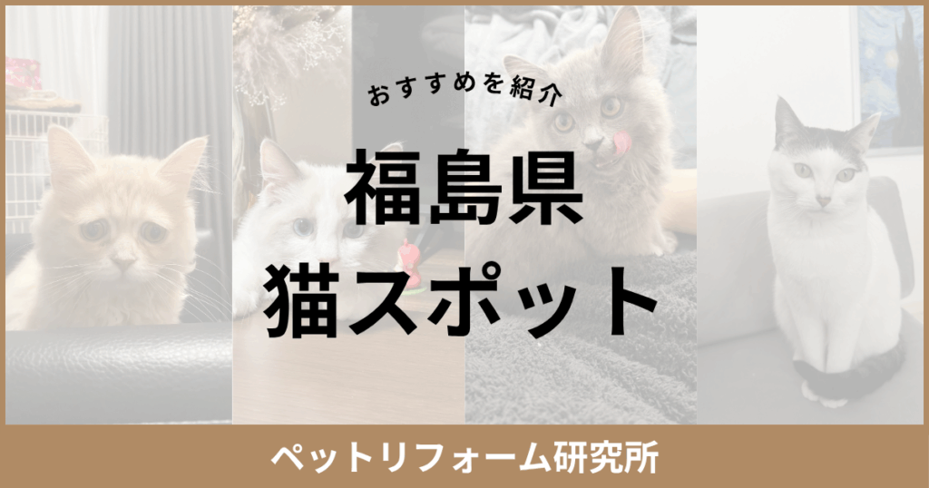 福島県 猫スポット