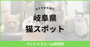 岐阜県 猫スポット