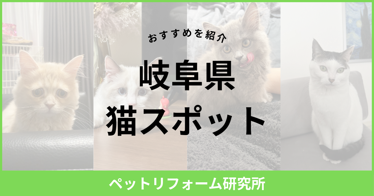 岐阜県 猫スポット