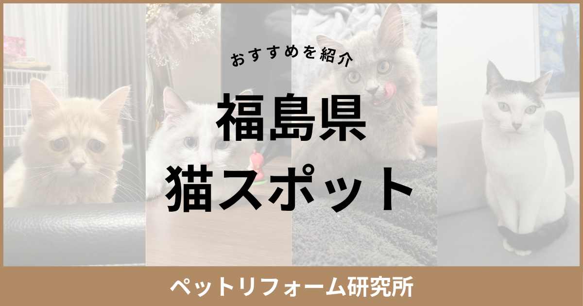 福島県 猫スポット