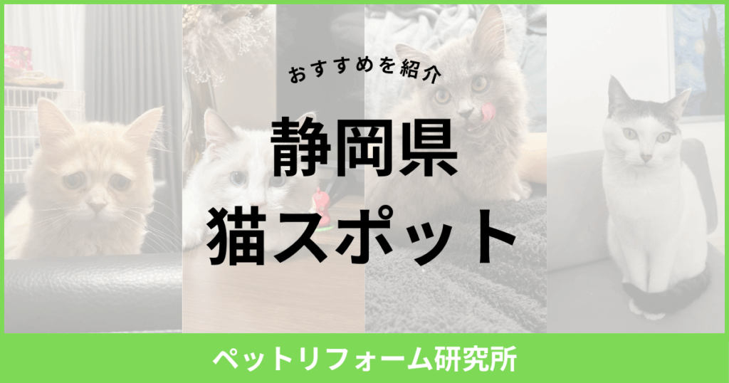 静岡県 猫スポット