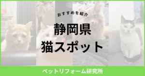 静岡県 猫スポット