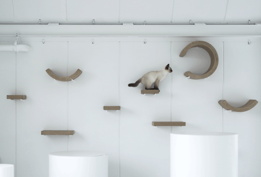 保護猫喫茶 necoma