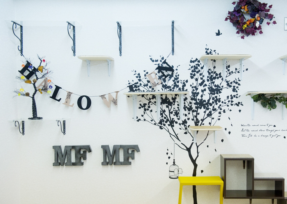 ねこカフェもふもふ