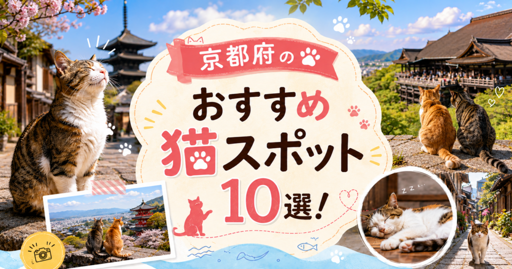 京都 猫スポット