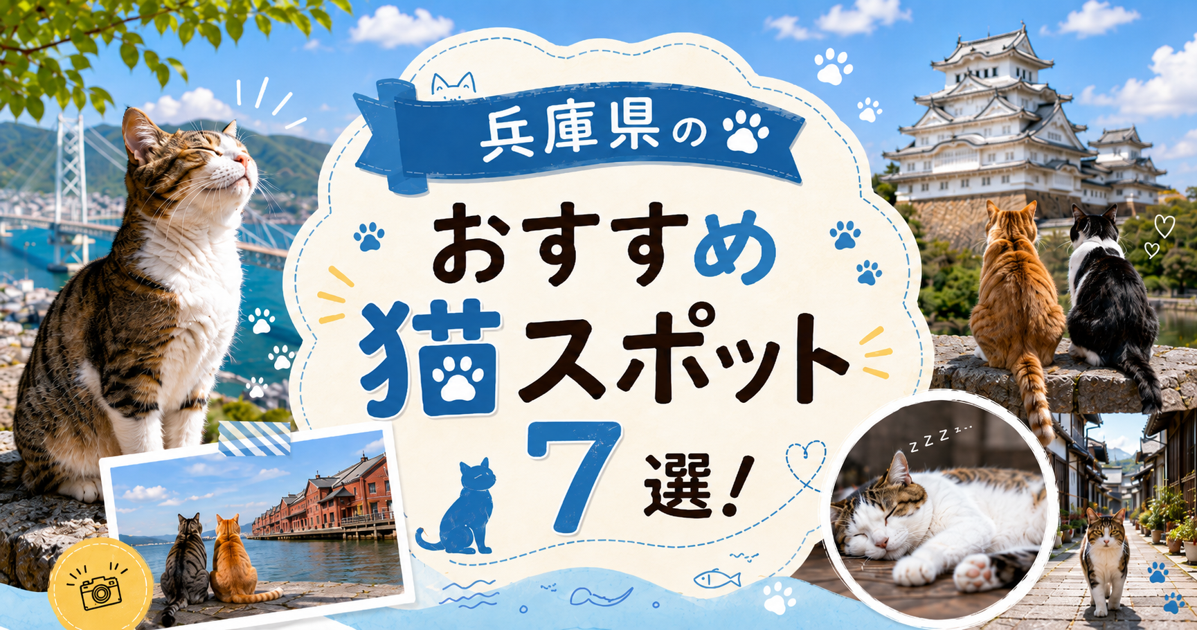 兵庫 猫スポット