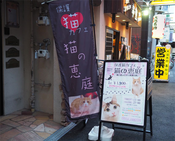 猫の恵庭